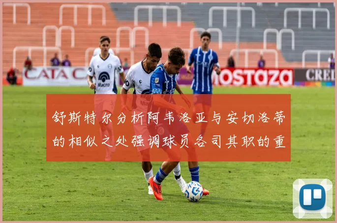 舒斯特尔分析阿韦洛亚与安切洛蒂的相似之处强调球员各司其职的重要性
